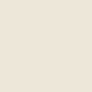 Antique White Paint Sample