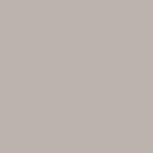 Gray Paint Sample