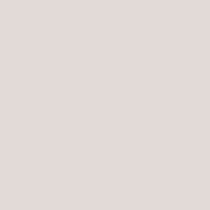 Light Gray Paint Sample